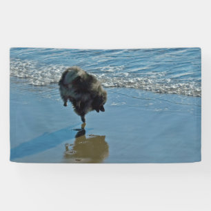 Keesdoorn Ballet-foto - Cute Original Dog Art Spandoek