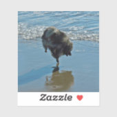 Keesdoorn Ballet-foto - Cute Original Dog Art Sticker (Vel)