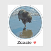 Keesdoorn Ballet-foto - Cute Original Dog Art Sticker (Vel)