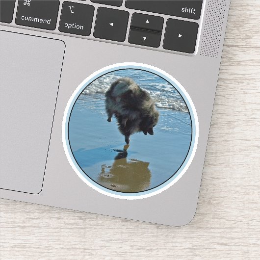 Keesdoorn Ballet-foto - Cute Original Dog Art Sticker (Detail)