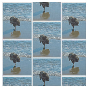 Keesdoorn Ballet-foto - Cute Original Dog Art Stof