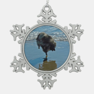 Keesdoorn Ballet-foto - Cute Original Dog Art Tin Sneeuwvlok Ornament