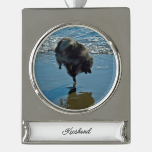 Keesdoorn Ballet-foto - Cute Original Dog Art Verzilverd Banner Ornament
