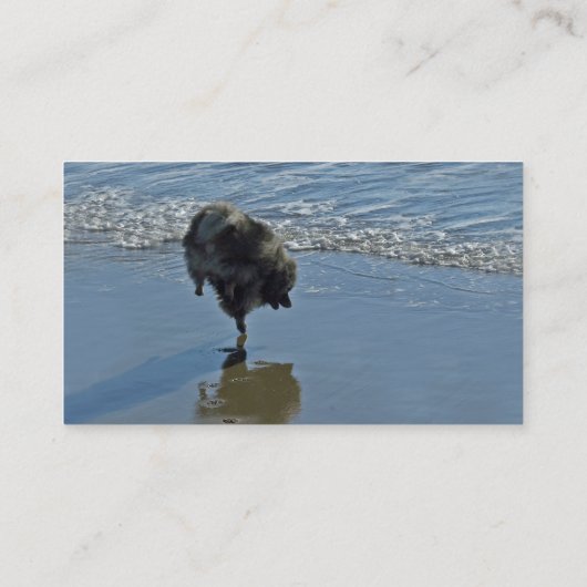 Keesdoorn Ballet-foto - Cute Original Dog Art Visitekaartje (Achterkant)