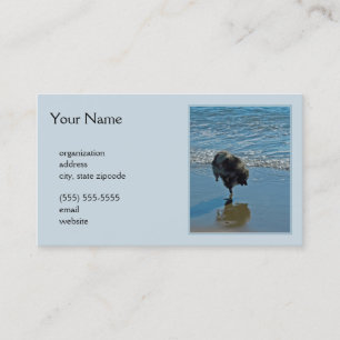 Keesdoorn Ballet-foto - Cute Original Dog Art Visitekaartje