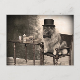 Keesdoorn Gentleman's Aftermiddag Briefkaart