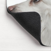 Keeshond (10 jaar oud) close-up muismat (Hoek)