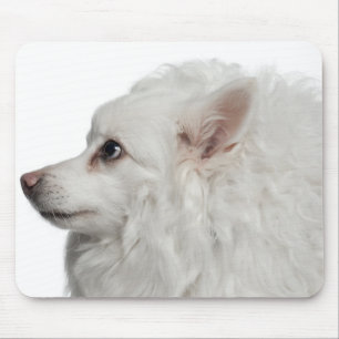 Keeshond (10 jaar oud) close-up muismat