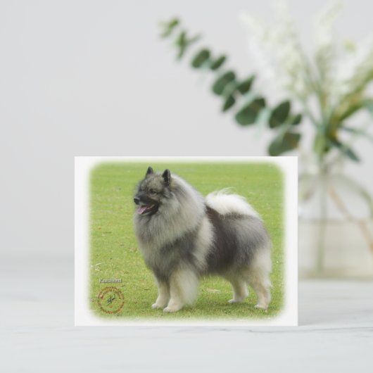 Keeshond 9J28D-01 Briefkaart (Staand voorkant)