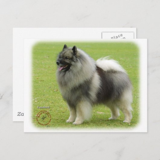 Keeshond 9J28D-01 Briefkaart (Voorkant / Achterkant)