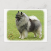 Keeshond 9J28D-01 Briefkaart (Voorkant)