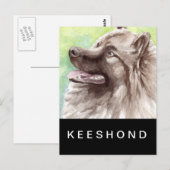 Keeshond Aquarel Portret Briefkaart (Voorkant / Achterkant)