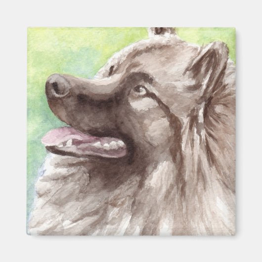 Keeshond Aquarel Portret Magneet (Voorkant)
