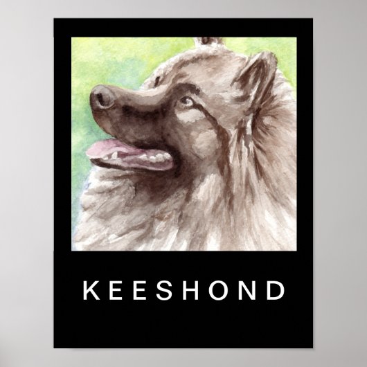 Keeshond Aquarel Portret Poster (Voorkant)