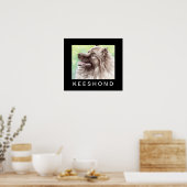 Keeshond Aquarel Portret Poster (Keuken)
