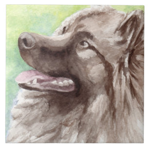 Keeshond Aquarel Portret Tegeltje