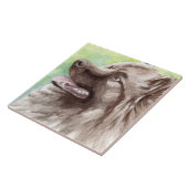 Keeshond Aquarel Portret Tegeltje (Zijkant)