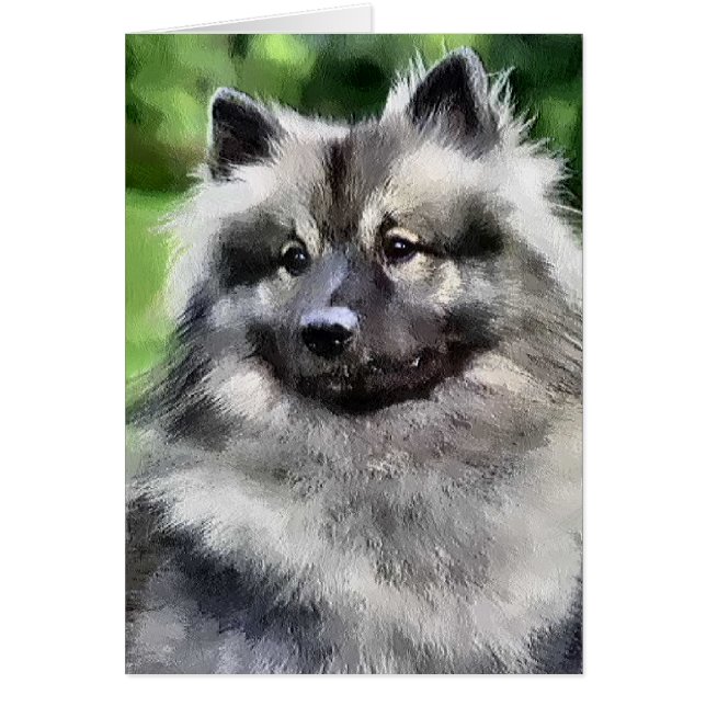 Keeshond Art Gifts (Voorkant)