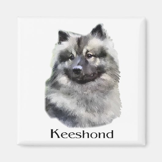 Keeshond Art Gifts Magneet (Voorkant)