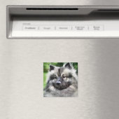 Keeshond Art Gifts Magneet (Insitu (Vaatwasser))