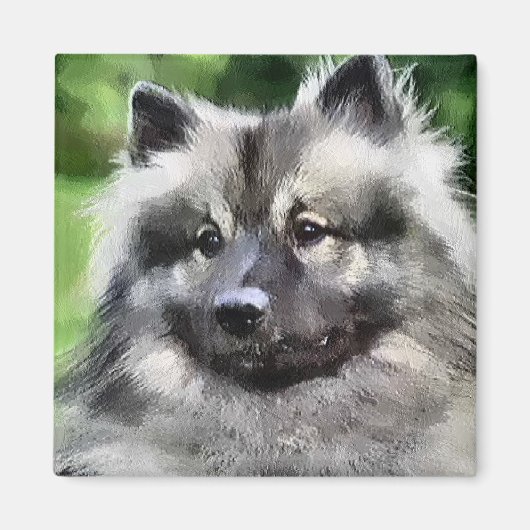 Keeshond Art Gifts Magneet (Voorkant)