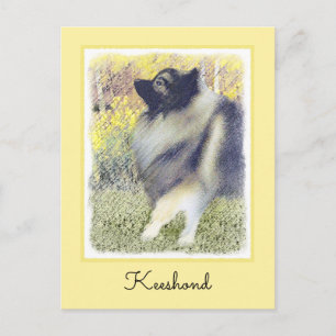 Keeshond Aspen Painting - Cute Original Dog Art Briefkaart