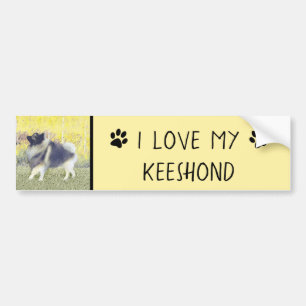 Keeshond Aspen Painting - Cute Original Dog Art Bumpersticker