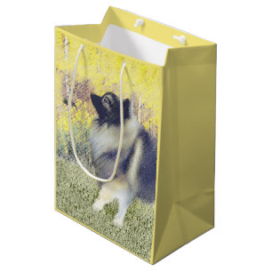 Keeshond Aspen Painting - Cute Original Dog Art Medium Cadeauzakje