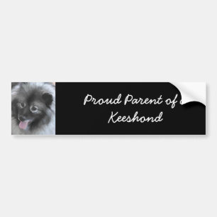 Keeshond Bailey Painting - Cute Original Dog Art Bumpersticker