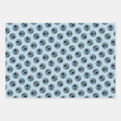 Keeshond Ballet Fotografeer Schattigee Originele H Inpakpapier Vel (Voorkant)