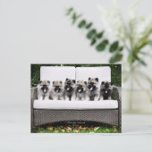 Keeshond Briefkaart (Staand voorkant)