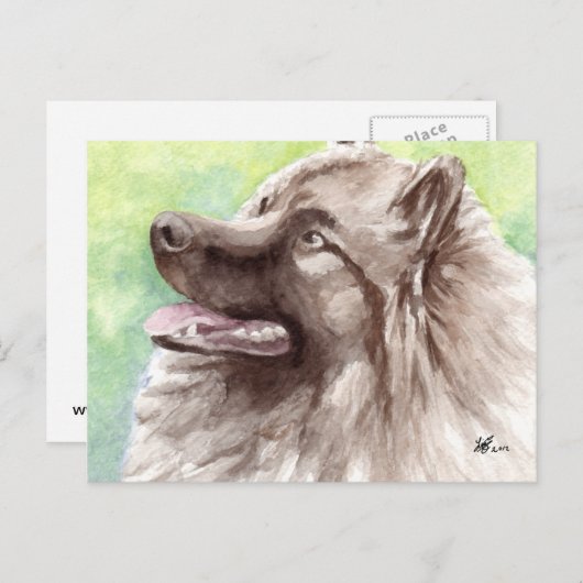 Keeshond Briefkaarten (Voorkant / Achterkant)
