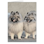 Keeshond Brothers Painting - Original Dog Art (Voorkant)