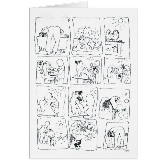 Keeshond comic Bathtime