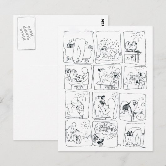 Keeshond comic Bathtime Briefkaart (Voorkant / Achterkant)