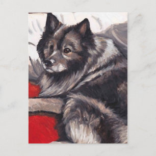 Keeshond Dog Art Briefkaart