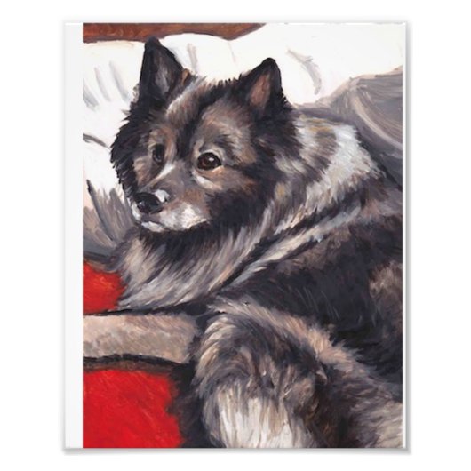 Keeshond Dog Art Print Foto Afdruk (Voorkant)