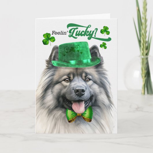 Keeshond Dog Feelin' Lucky St Patrick's Day Feestdagen Kaart (Voorkant)