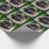 Keeshond Dog in St. Patrick's Day Dress Cadeaupapier (Hoek)