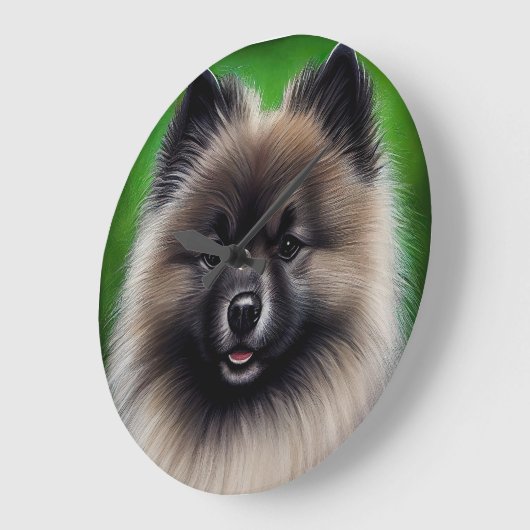 Keeshond Dog in St. Patrick's Day Dress Grote Klok (Hoek)