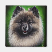 Keeshond Dog in St. Patrick's Day Dress Magneet (Voorkant)