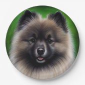 Keeshond Dog in St. Patrick's Day Dress Papieren Bordje (Voorkant)