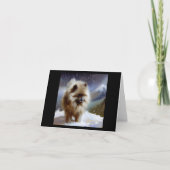 Keeshond Dog Kaart (Voorkant)