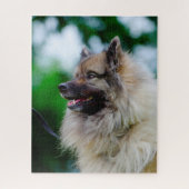 Keeshond Dog. Legpuzzel (Verticaal)