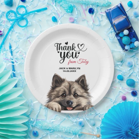Keeshond Dog Papieren Bordje (Feest)