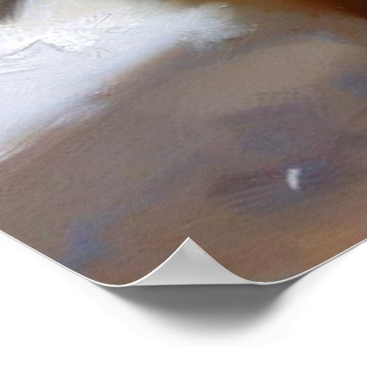 Keeshond Dog Poster (Hoek)