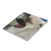 Keeshond Dog Tile Tegeltje (Zijkant)