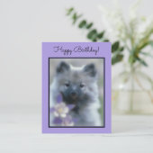 Keeshond en Columbine Briefkaart (Staand voorkant)