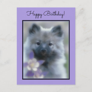 Keeshond en Columbine Briefkaart