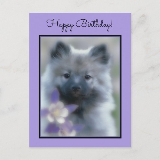 Keeshond en Columbine Briefkaart (Voorkant)